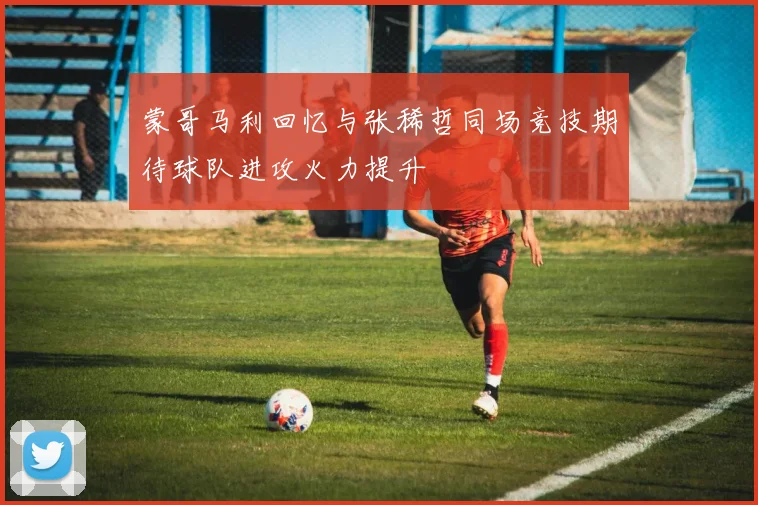 蒙哥马利回忆与张稀哲同场竞技期待球队进攻火力提升